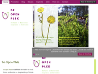 de Open Plek
