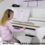 Van Huizen Piano's - Pianostemmer