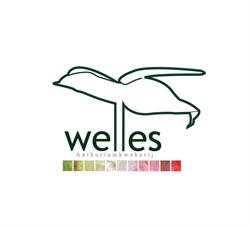 Anthuriumkwekerij Welles