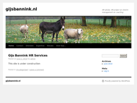 Gijs Bannink HR Services