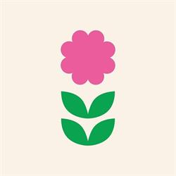 Bloem en Plant