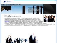 Celtus Consultancy Services B.v.