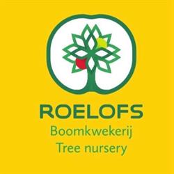 Boomkwekerij 't Fort W. Roelofs B.V.