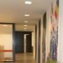Chiropractie Vught