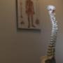 Chiropractie Vught