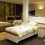 Dreamzzz Bedden en Matrassen