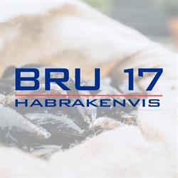 Bru 17