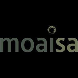 Salon Moaisa