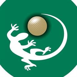Stichting Golf Renkum