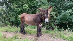 Stichting De Ezelshoeve