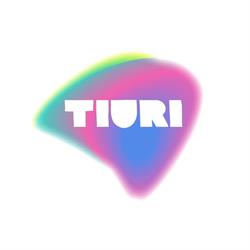 Stichting Steun Theaterwerkplaats Tiuri