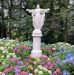 Stichting Arboretum Oudenbosch