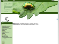 Website van Natuurlijk Oostindie-Terheyl 