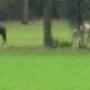 Vereniging Gemeenschapshuis Hexel