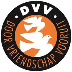 Voetbalvereniging D.V.V.