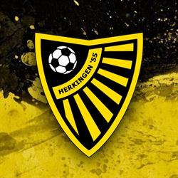 Voetbalvereniging Herkingen '55'