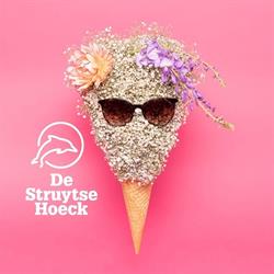 Winkelcentrum De Struytse Hoeck