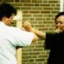 United Ving Tsun Kung Fu Society