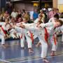 Karatevereniging Funakoshi
