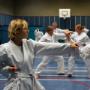 Karatevereniging Funakoshi