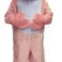 Mascotte varken