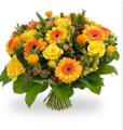 Bloemen Friesland