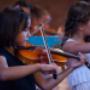 De Vioolschool