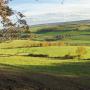 Natuurlandschap nabij Frensjerhofke