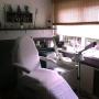 De Salon