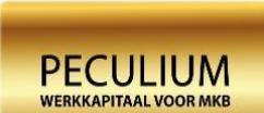 Peculium - Werkkapitaal Voor Mkb