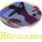 Altenacouture