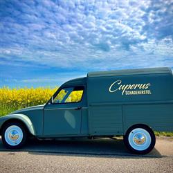 Cuperus Repair