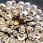 Oesters