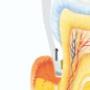 WestDent praktijk voor mondhygiëne