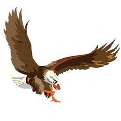 Eagle (sport)Massage