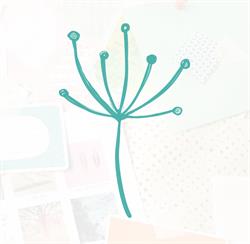 Floor Mans, Praktijk Voor Relatietherapie, Individuele Therapie en Coaching