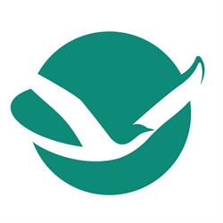 Stichting Seniorweb