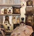 Dieren woonaccessoires