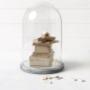 Trend inspiratie stolp