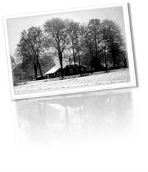 M4u administraties
