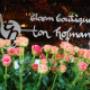 Bloemboutique Ton Hofman