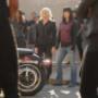 Harley Davidson Point BV