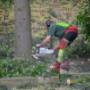 Delsasso Boomverzorging