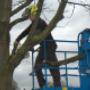 Delasso Hoogwerker