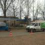 Delsasso Boomverzorging