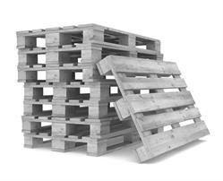 Pallethandel Panhuis