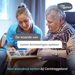 Carintreggeland, Wonen en Vastgoed