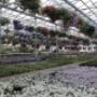 Hangpotten met waterreservoir
