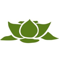Yoga Best