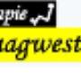 Zwaagwesteinde Manuele Therapie
